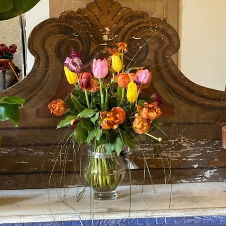Bed and Breakfast Casale San Giorgio Luco Mugello Exterior foto