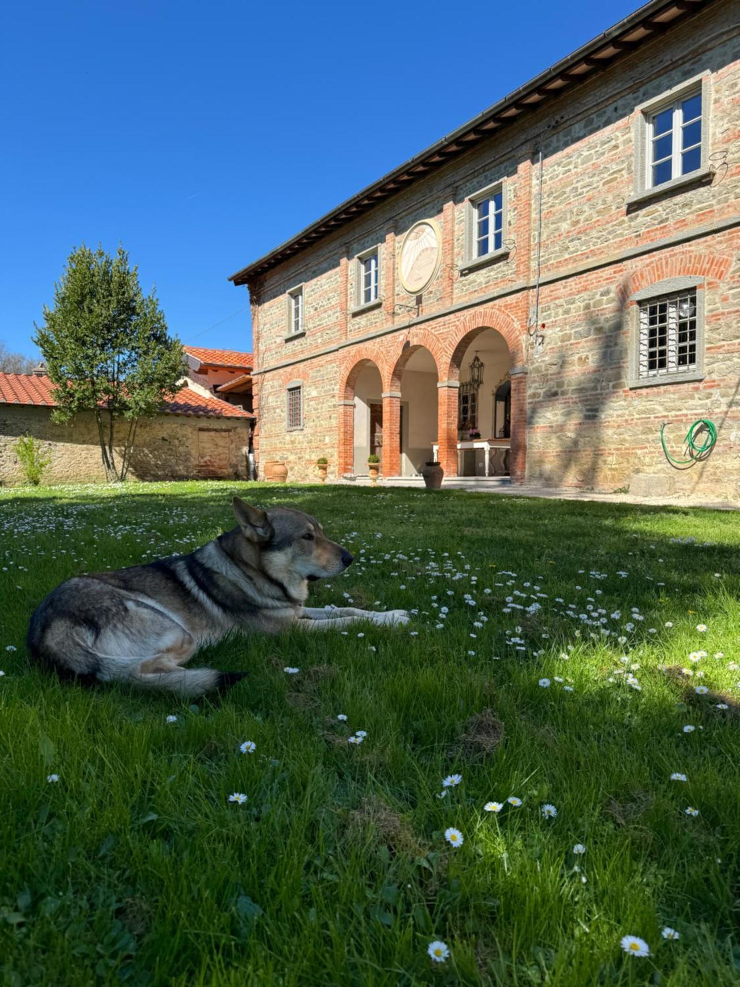 Bed and Breakfast Casale San Giorgio Luco Mugello Exterior foto
